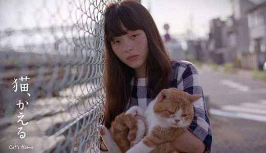 【映画感想・レビュー】映画『猫、かえる Cat's Home』一匹の猫を通して、恋仲の男女の関係性の変化を描く