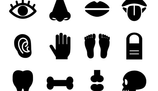 【英語ネタ】「顔・体のパーツ」に関する英語一覧