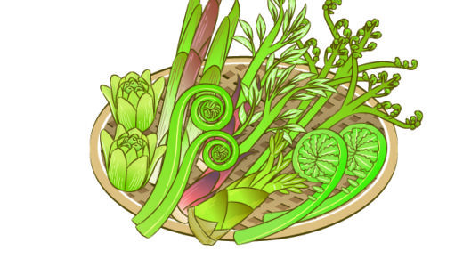 【食べると死ぬ】間違えやすい山菜・野菜・植物一覧【食中毒】
